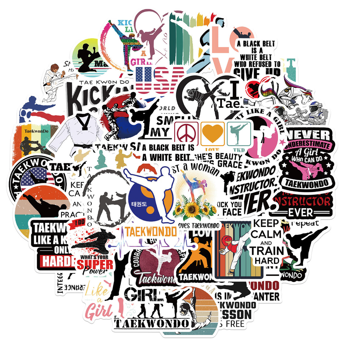 50 Pc Taekwondo Martial Arts Sticker Pack image 0