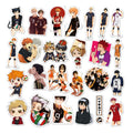 50 Pc Haiykuu Pack image 1