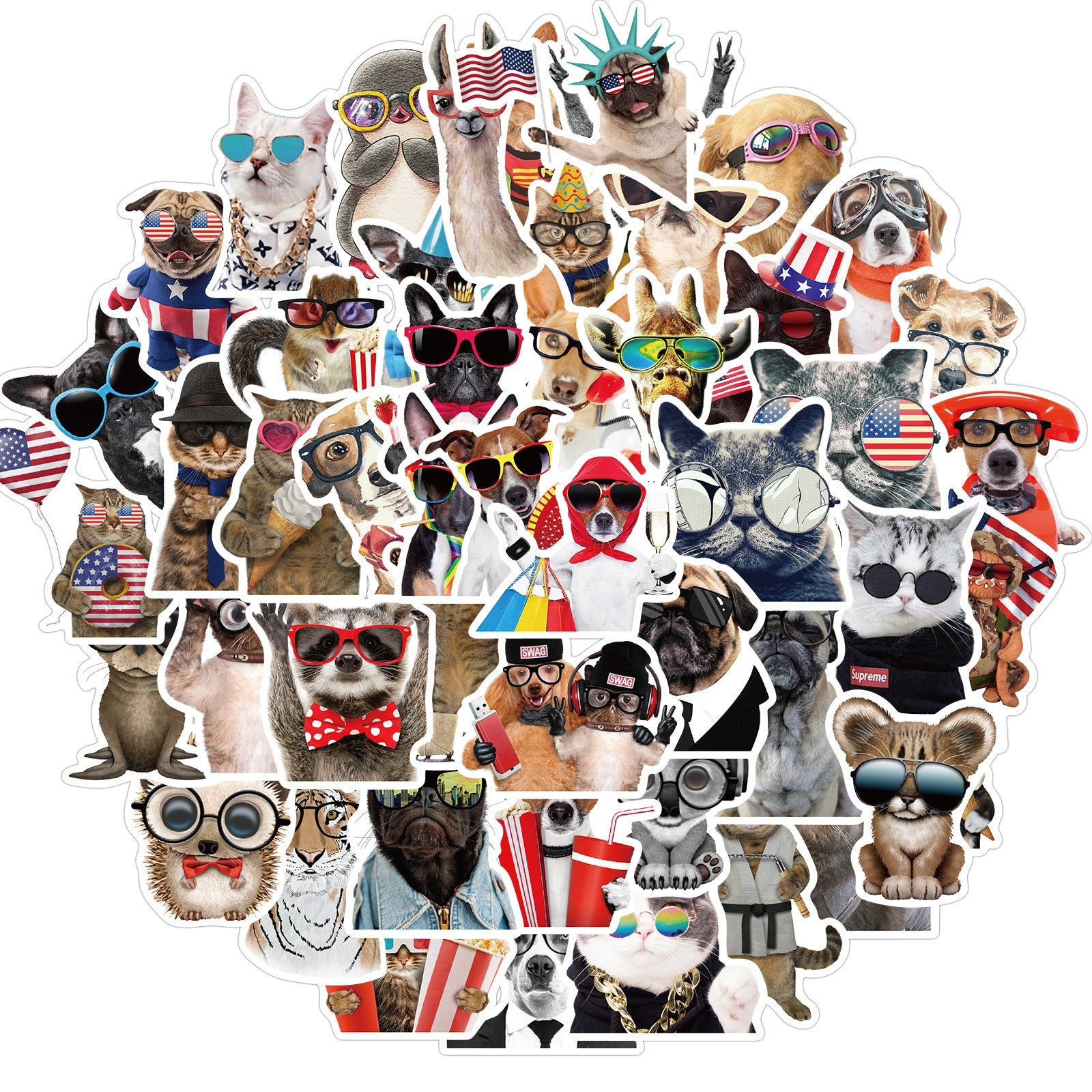 50 Pc Animals with glasses Pack image 0
