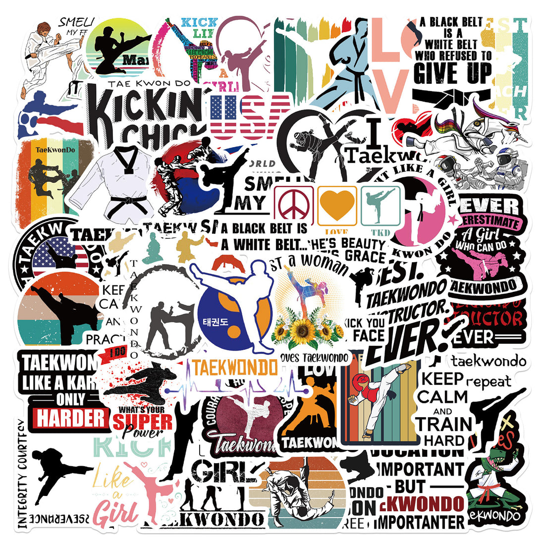 50 Pc Taekwondo Martial Arts Sticker Pack image 0