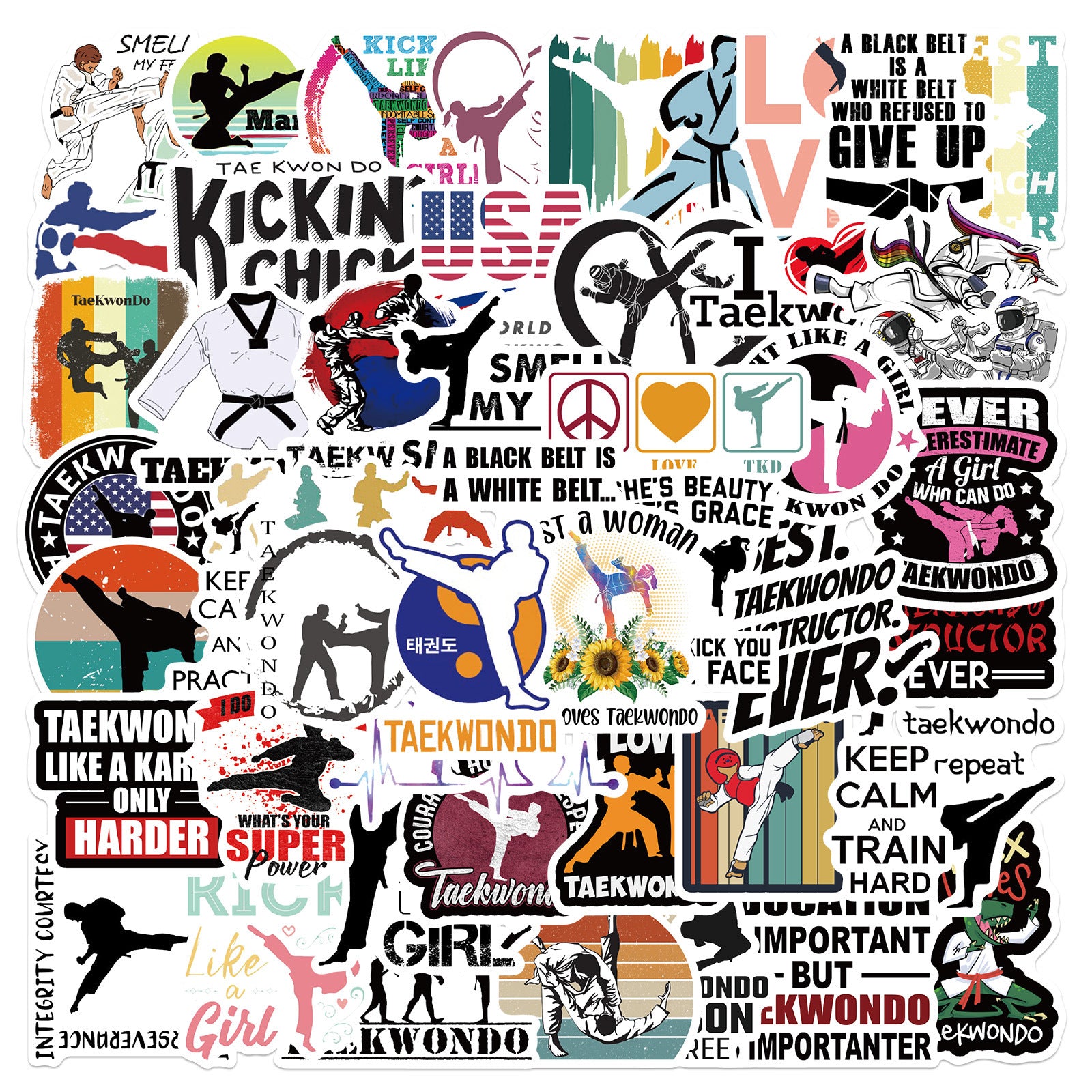 50 Pc Taekwondo Martial Arts Sticker Pack image 1