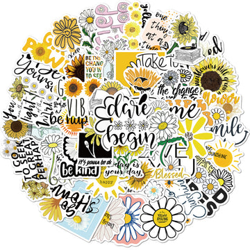 50 Pc Inspirational Daisy Pack image 0